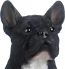 Französische Bulldogge in SCHWARZ mit weißen Akzenten. Produktbild-Vorschau 2