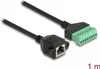 DELOCK RJ45 Kabel Cat.6 Buchse zu Terminalblock Adapter Produktbild-Vorschau 2