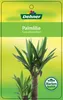 Dehner Yucca-Palme, Yucca elephantipes, Palmlilie, Produktbild-Vorschau 3