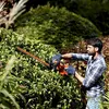 Hekkenknipper BEHT201 (oranje/zwart, 420 Watt) Productafbeelding-voorbeeld 19