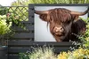 MuchoWow® Produktbild-Vorschau 5