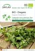 SAFLAX - BIO - Oregano - Origanum heracleoticum - 1500 Produktbild-Vorschau 1