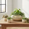 Glimmer Blumentopf / Pflanzschale Madeira - creme - Produktbild-Vorschau 4
