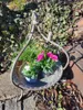 Shabby Chic Dekoschale mit Fuß Produktbild-Vorschau 2