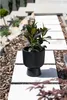 A black planter with a green plant sits on a stepping stone path in a garden. Produktbild-Vorschau
