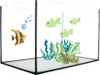 Aquarium Becken Rechteckig Glas Aquariumbecken Mini Produktbild-Vorschau 1