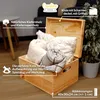 Caja de madera Creative Deco XXL para guardar objetos, 40 x Vista previa de la imagen del producto 4