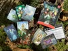 A collection of cards and a game box for 'Druids' are spread out on a mossy, wooded surface. Náhľad obrázku produktu