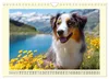 Australian Shepherd. Wanderfreude auf Pfoten im Bergsommer Produktbild-Vorschau 14