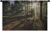 MuchoWow® Wandteppich Wandbehang Wald - Sonne - Nebel Produktbild-Vorschau 1