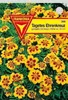 Tagetes Ehrenkreuz niedrig Produktbild-Vorschau 1