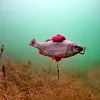 Zeck DB Rucksack Float - 2 Auftriebskörper, Größe:S Produktbild-Vorschau 6
