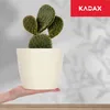 KADAX Blumentopf aus Kunststoff "Ufra", einfacher Produktbild-Vorschau 6
