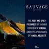 Dior Sauvage Woda perfumowana, 200 ml Podgląd zdjęcia produktu 11