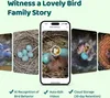 Nichoir Birdfy avec caméra Ebony Lite Smart – Nichoir Voir les images du produit 3