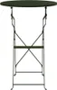 vidaXL Bistrotisch Dunkelgrün Ø 50 x 71 cm Produktbild-Vorschau 4