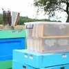 Aufbewahrungsbox Aufbewahrungsbehälter Transparentbox Produktbild-Vorschau 2