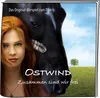 A girl and a horse in a field with a tree in the background. Produktbild-Vorschau