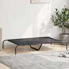 A black elevated dog bed is shown in a room with a plant and a rug. Anteprima dell’immagine prodotto