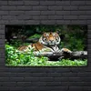 Coloray Bild aus Acryl 140 cm x 70 cm - Wanddekoration Produktbild-Vorschau 2