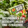 Beeren- & Obst-Langzeitdünger Compo  mit Schafwolle 2 kg Produktbild-Vorschau 5