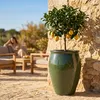 Provencelia Keramik Pflanzkübel Bacchus Grün, Ø36 x H52 cm, Produktbild-Vorschau 7