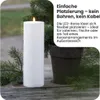 A white LED candle with a lit flame is placed next to a potted plant and pine branches. Produktbild-Vorschau