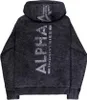 ALPHA INDUSTRIES BACKPRINT VINTAGE HOODIE Herren Produktbild-Vorschau 2