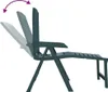 vidaXL Sonnenliege Kunststoff Grün, Vertikal 60 x 114 x 110 Produktbild-Vorschau 6