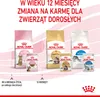 ROYAL CANIN FHN Kitten Sterilised - mokra karma dla kociąt Podgląd zdjęcia produktu 9