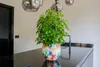 Collection TS - Blumentopf Sparkle spring - 24x21 Voir les images du produit 7