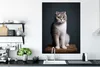 MuchoWow® Poster Katze - Haustiere - Licht 90x120 cm - Produktbild-Vorschau 3