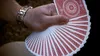 Tally Ho - Fun Back / Circle Back: Mix van patronen Productafbeelding-voorbeeld 8