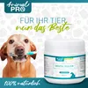 Dental Pulver | Natürliche Zahnreinigung für Hunde & Katzen Produktbild-Vorschau 5
