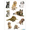 HERMA 3432, Papier, Mehrfarbig, Hund, Universal, Permanent, Produktbild-Vorschau 3