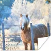 MuchoWow® Poster Pferd - Winter - Schnee 100x100 cm - Produktbild-Vorschau 1