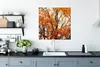 MuchoWow® Poster Wald - Herbst - Jahreszeiten 75x75 cm - Produktbild-Vorschau 3