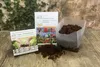 SAFLAX - Garden in the bag - Krzew Herbaciany Mate - 10 Podgląd zdjęcia produktu 2