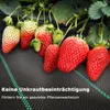 Iropro 50m² Unkrautvlies Gartenvlies Unkrautfolie Produktbild-Vorschau 2