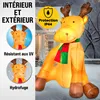 MONZANA® Nafukovací sob 180cm LED osvětlený montážní Náhled obrázku produktu 9