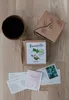 Set per la coltivazione di semi di fiori di cotone di Anteprima dell’immagine prodotto 4