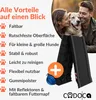 A family with a dog and a dog ramp. Produktbild-Vorschau