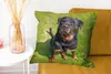MuchoWow® Zierkissen Sofakissen Wohnzimmer Dekokissen 60x60 Produktbild-Vorschau 6
