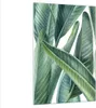 Bilder auf glas - Einteilig - Exotisch Blätter Grün - Produktbild-Vorschau 1