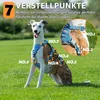 Harnais de sécurité pour chien, anti-évasion, Voir les images du produit 7