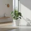 Bac à plantes en plastique L grand format - 48 cm/blanc - Voir les images du produit 8