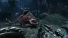 A first-person perspective of a video game scene, showing a large, reptilian creature in a dark, forested environment. Produktbild-Vorschau