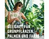 Grünpflanzendünger und Palmendünger COMPO mit extra Kalium Produktbild-Vorschau 4