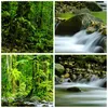 Bilder auf glas - Einteilig - Stream Wald Natur - 80x120cm Produktbild-Vorschau 8