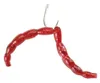 Berkley Powerbait Maxi Blood Worms 100 Stk Anteprima dell’immagine prodotto 4
